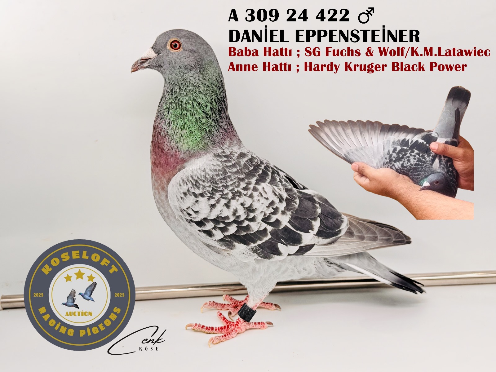 A 309 24 422 ERKEK Daniel Eppensteiner 